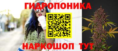 гашиш Ефремов